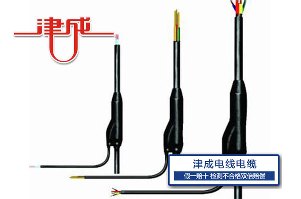 預制分支電纜